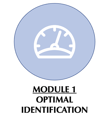 Module 1 Optimal Identification
