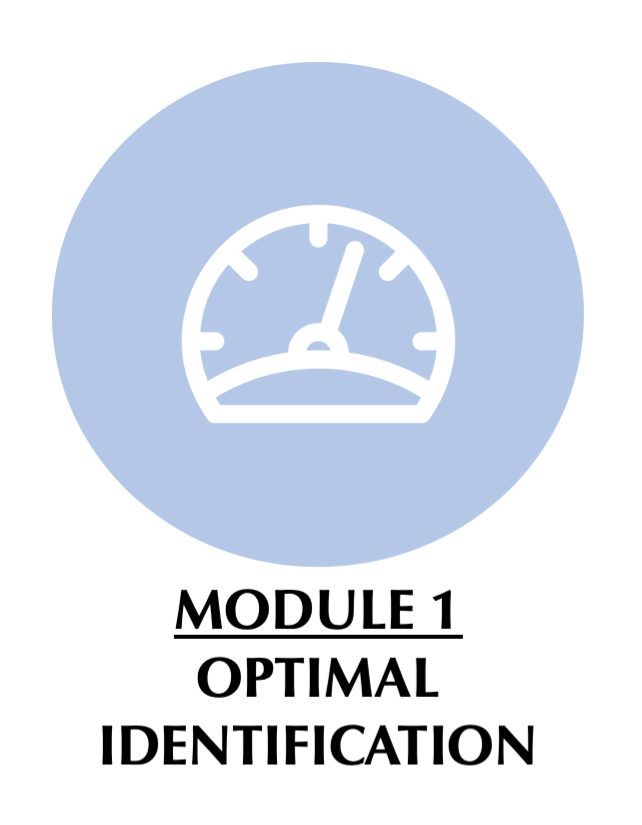 Module 1 Optimal Identification